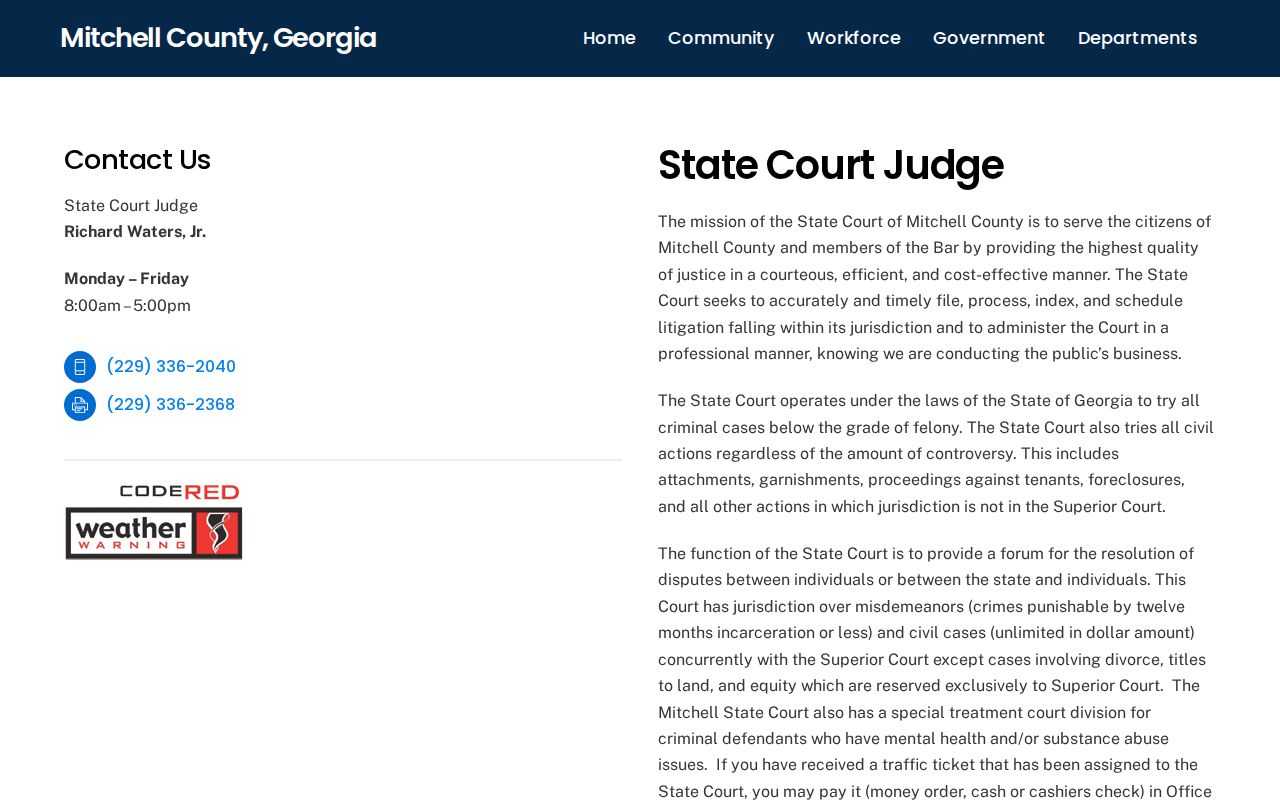 Mitchell County criminal court dockets State Court page